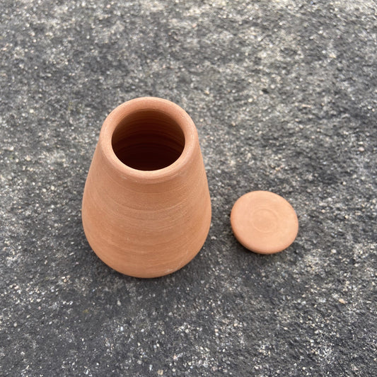 DHARAK & SHANKHU Terracotta Plant Bowl with Hydrating Capsule