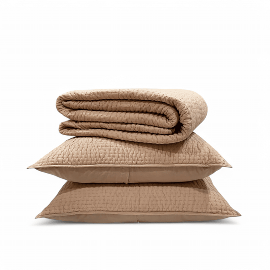 Fawn Beige Handcrafted Kantha Quilted Bed Set with Pillows