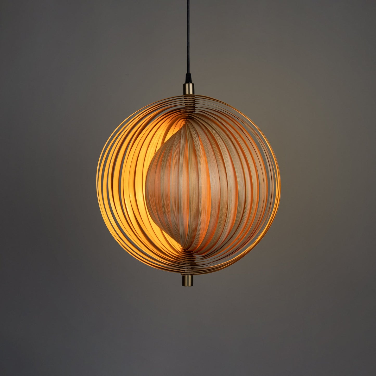 Sea Shell Pendant Lamp