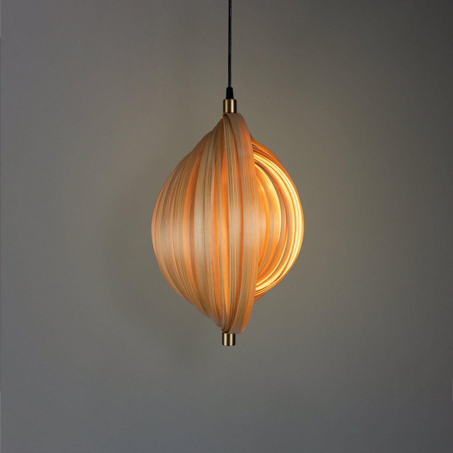 Sea Shell Pendant Lamp