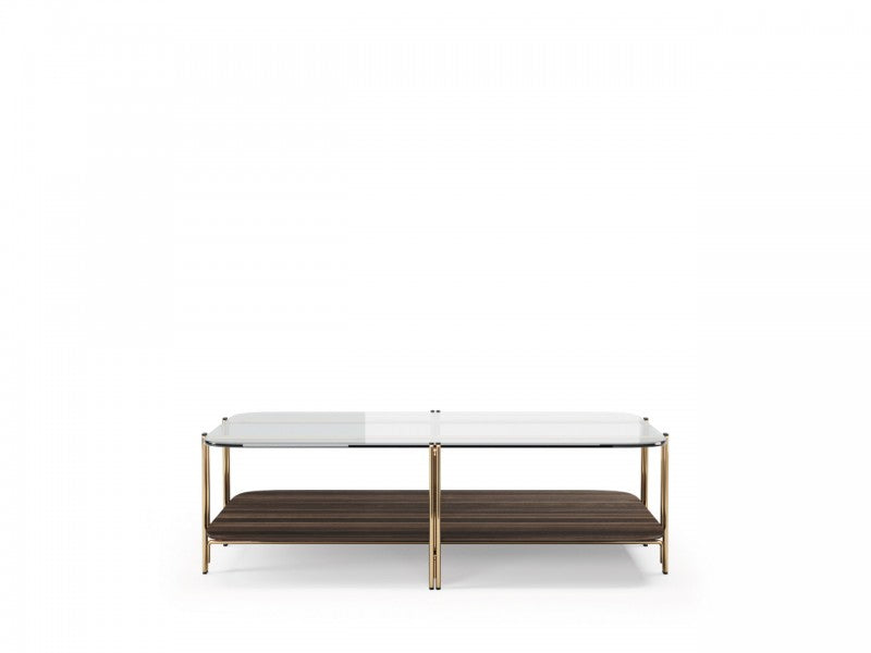 Modern Bamboo-Inspired Two-Tier Glass Top Coffee Table with Brass Finish Legs
