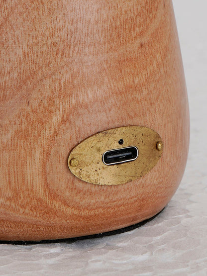 Modern Natural Wood & Glass Rechargeable LED Dimmable Touch Table Lamp