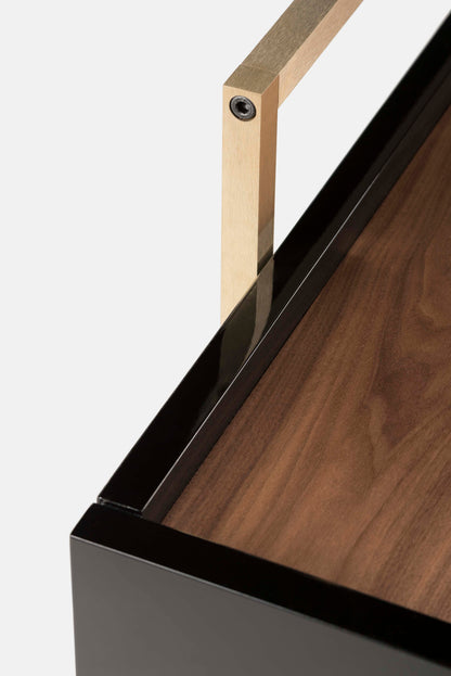 Luxurious Trunk Low Cabinet with Removable Storage Box and Metal Detailing