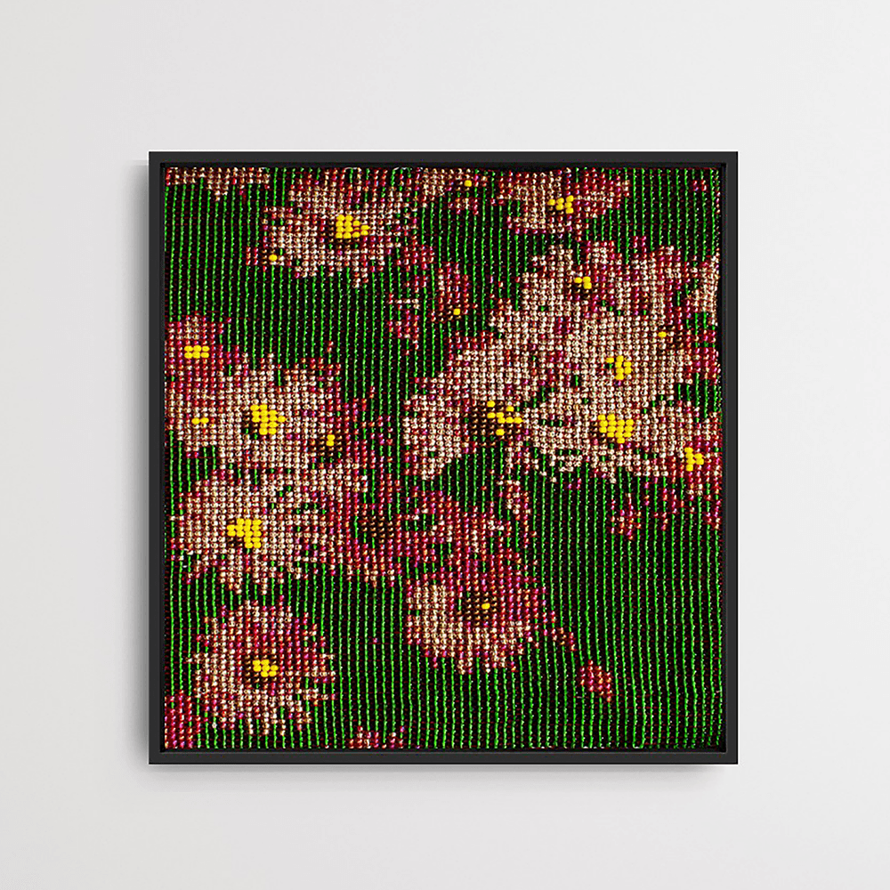 Dew kissed flowers