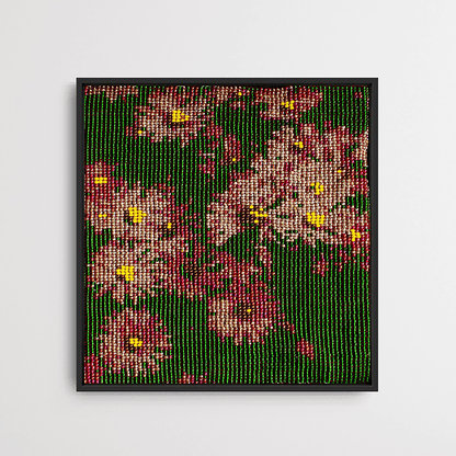 Dew kissed flowers