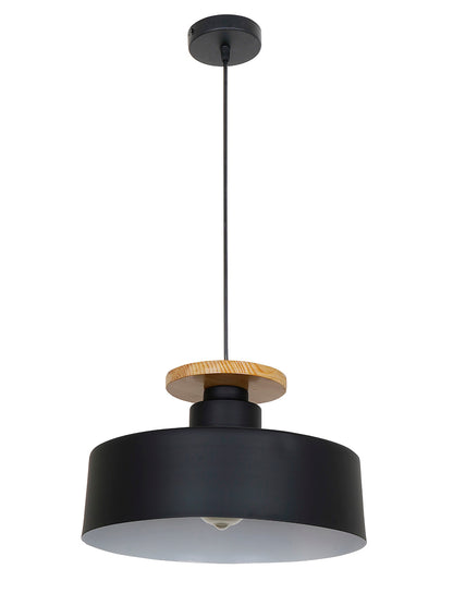Black Mild Steel 1-Light Pendant Light – 33 cm