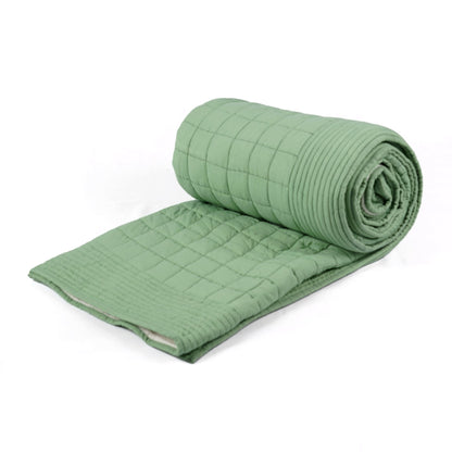 Sage Green Kantha Quilt Bed Set | Check Pattern with Striped Border | Cotton Voile | Handmade