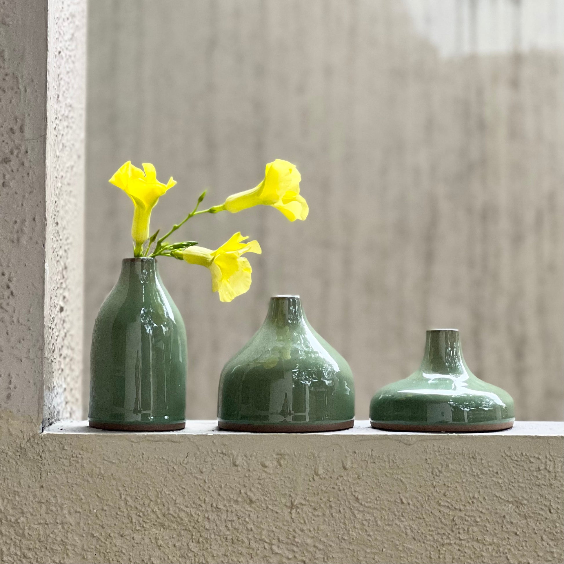 LivingClay Organic Bud Vase Set of 3 – Elegant Gift Box