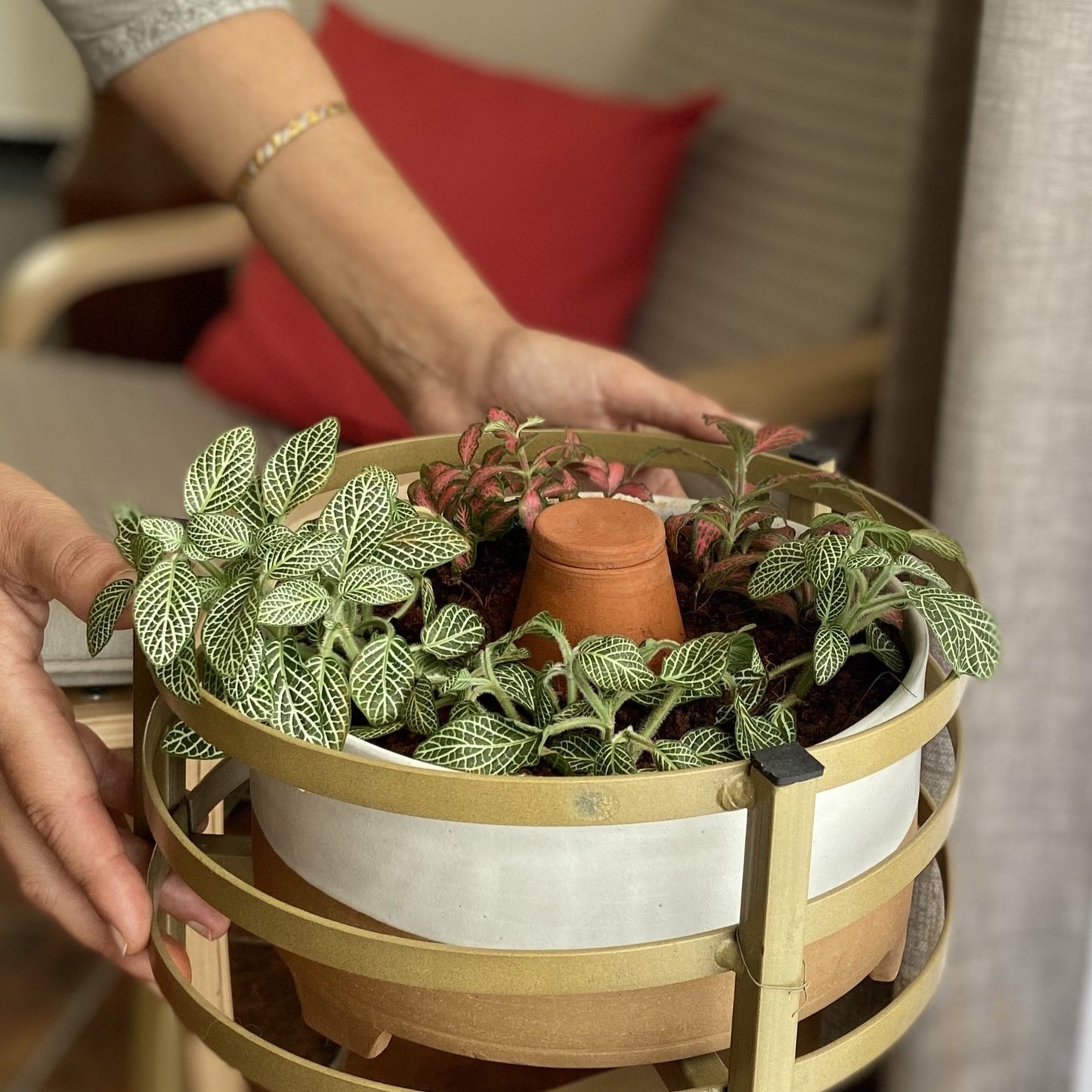 DHARAK & SHANKHU Terracotta Plant Bowl with Hydrating Capsule
