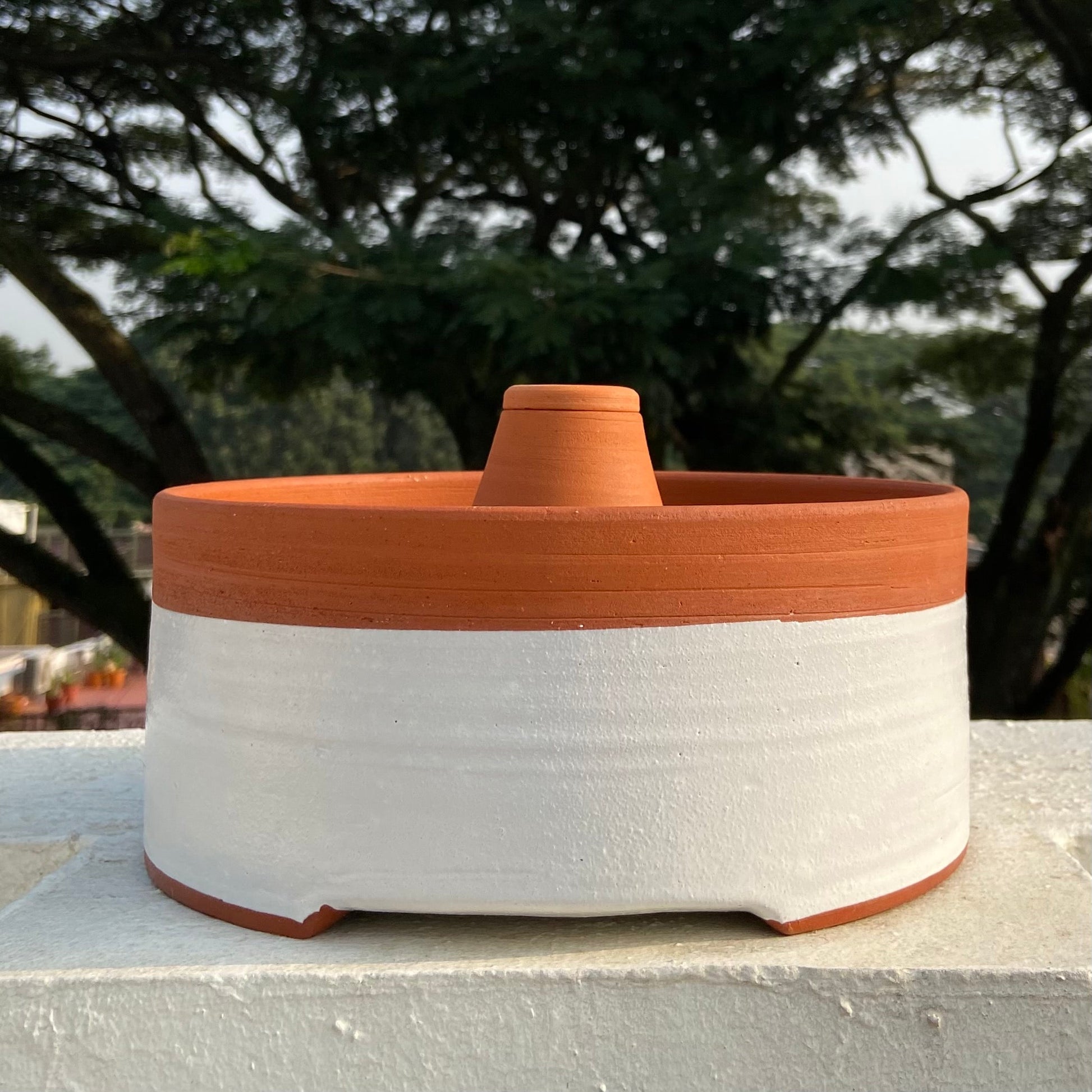DHARAK & SHANKHU Terracotta Plant Bowl with Hydrating Capsule