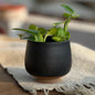 Handcrafted Tulip-Shaped Ceramic Vase with Charcoal Glaze The Foraging Garden