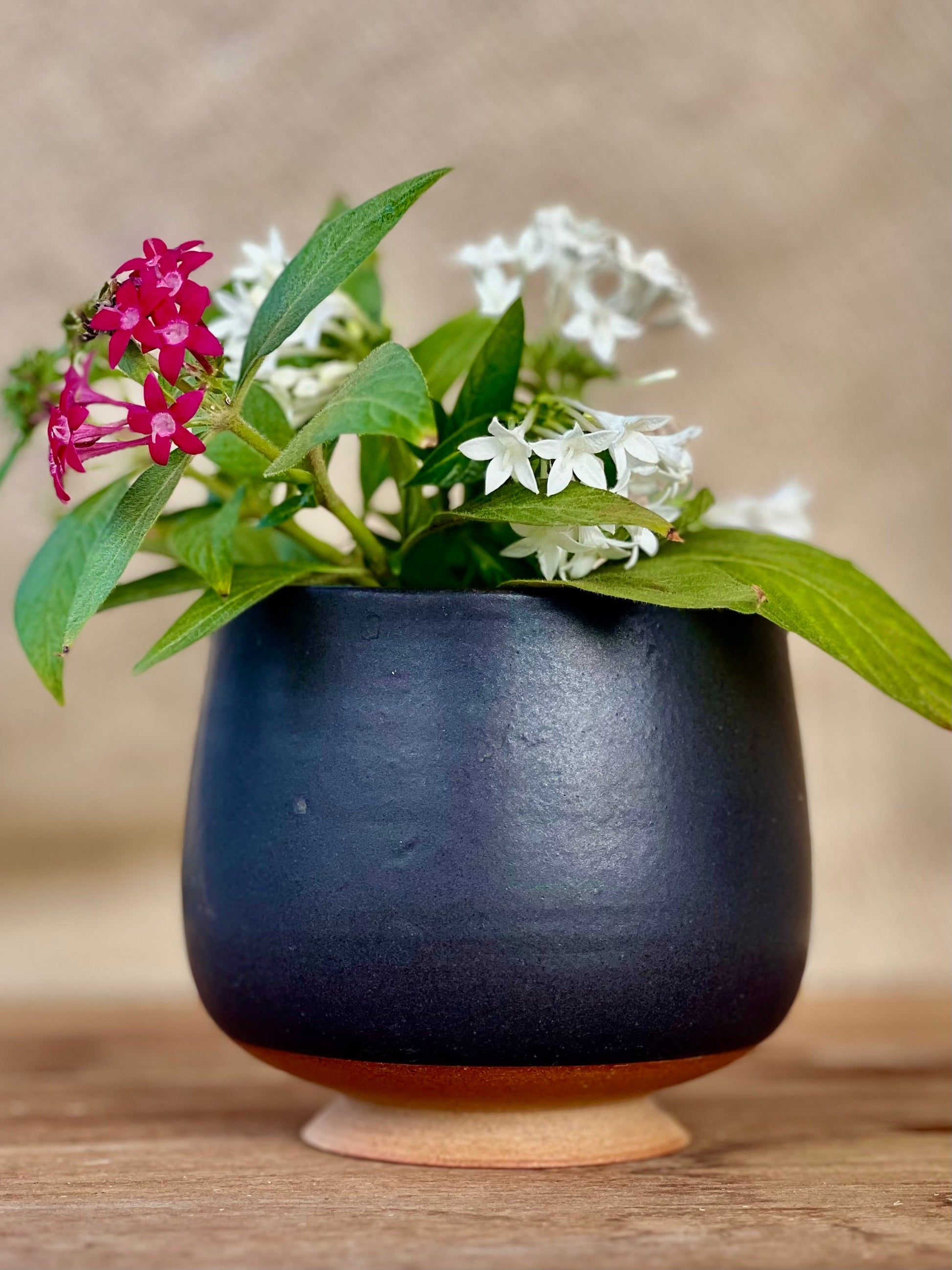 Handcrafted Tulip-Shaped Ceramic Vase with Charcoal Glaze The Foraging Garden