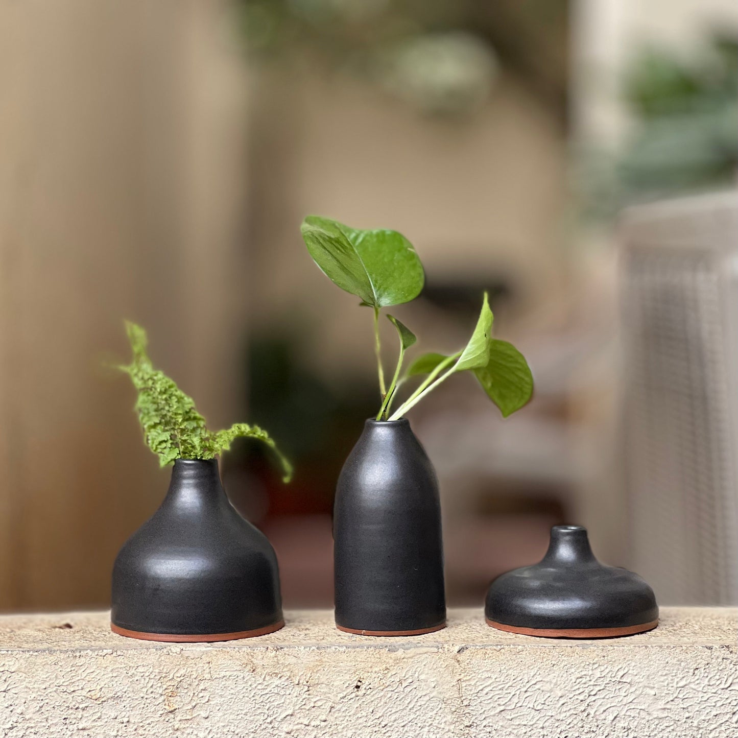 LivingClay Organic Bud Vase Set of 3 – Elegant Gift Box
