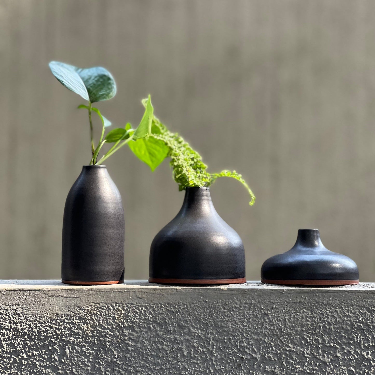 LivingClay Organic Bud Vase Set of 3 – Elegant Gift Box