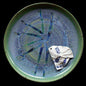 Exquisite Ceramic Fish Sculpture by Usha Garodia – Harmonious Nature-Inspired Art Decor