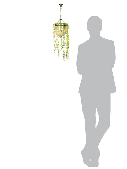 Gold Glass Planter 1-Light Pendant – 22.9 cm