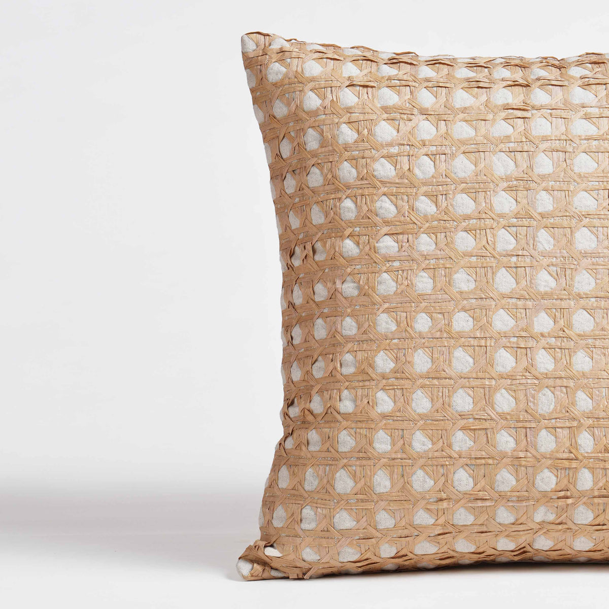 PURE ELEMENTS - Luxury Hand-Interlaced Faux Raffia Pillow Cover – 18x18 inches - monotone