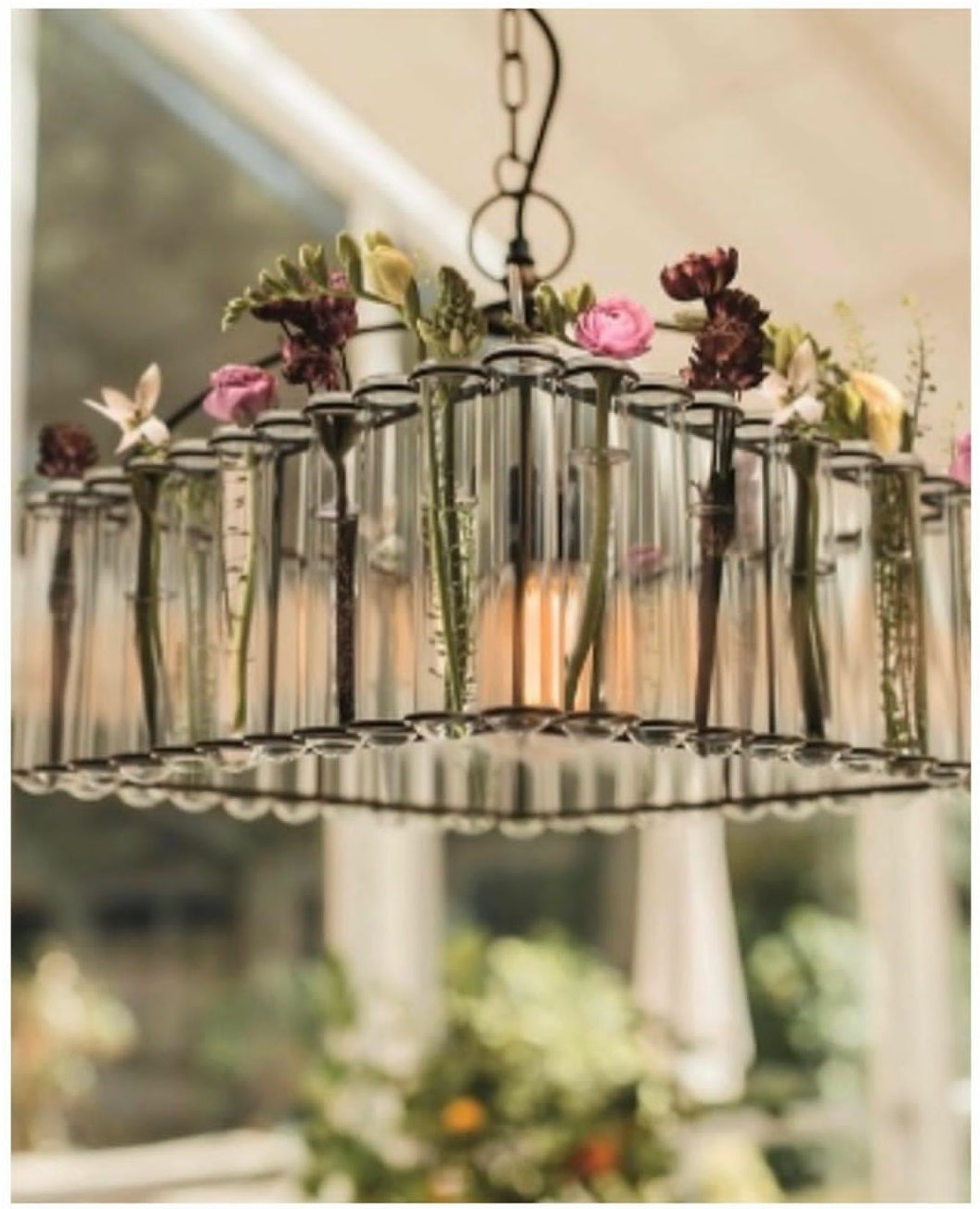 Test tube Vase Chandelier with flowers