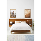 Prana Live-Edge Acacia Nightstand Bed with Brass Accents