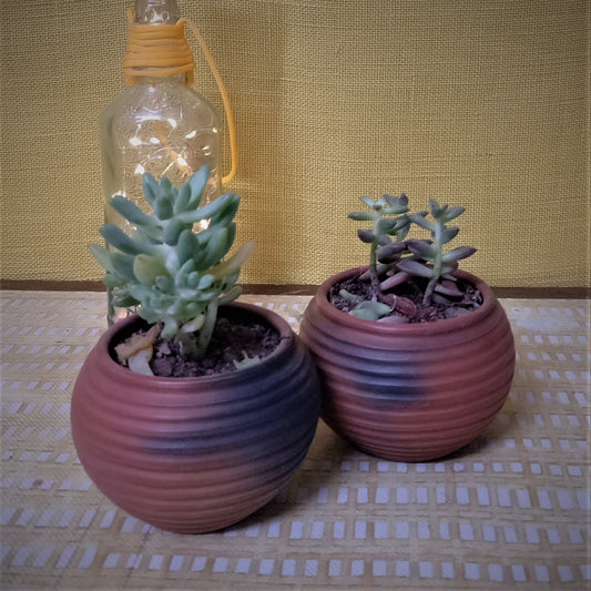 Set of 2 Terracotta and Jute Hanging cum Desktop Planters Round close up