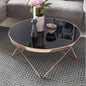 Dyon Elegant Copper Rose Gold PVD Steel Black Glass Coffee Table