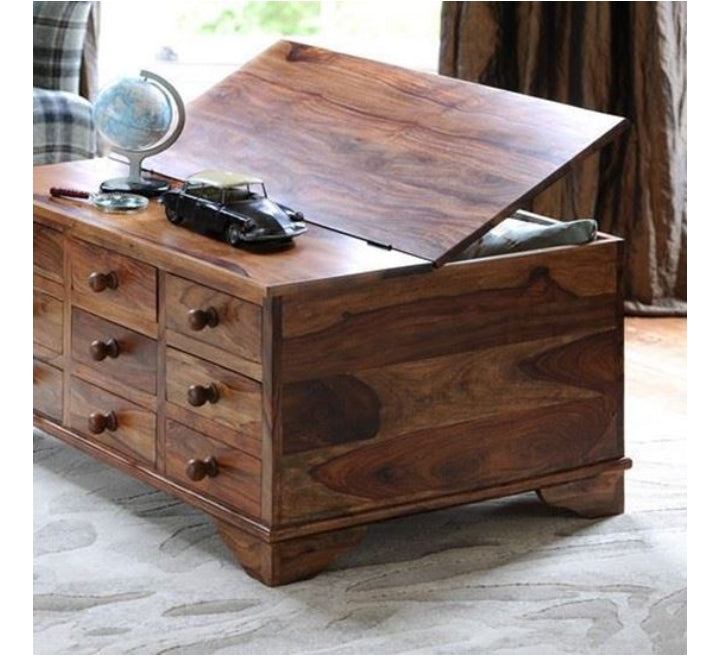 Nona Themeline Coffee Table storage space