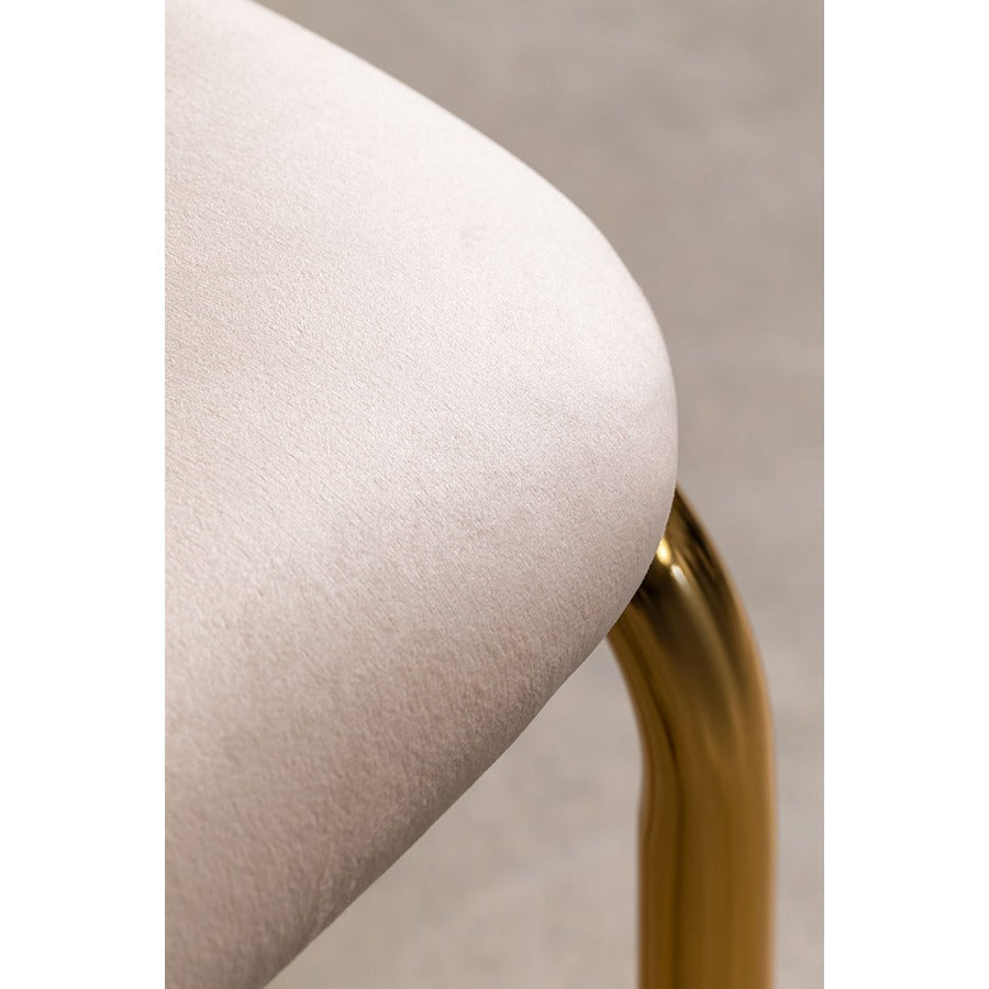 Armrests Tanto Gold Vintage Dining Chair