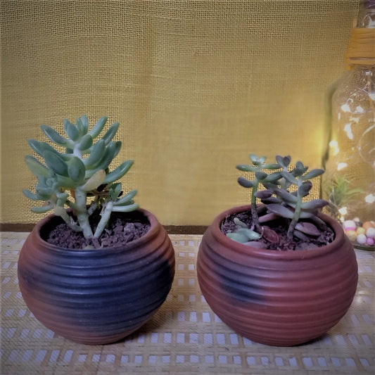 Set of 2 Terracotta and Jute Hanging cum Desktop Planters Round