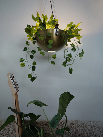 Planter Bowl Hanging Pendant Light in Antique Brass Finish wall placement