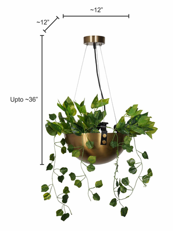 Planter Bowl Hanging Pendant Light in Antique Brass Finish dimensions