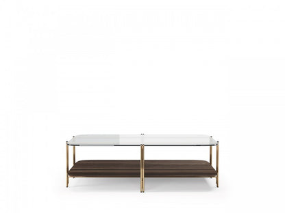 Modern Bamboo-Inspired Two-Tier Glass Top Coffee Table with Brass Finish Legs