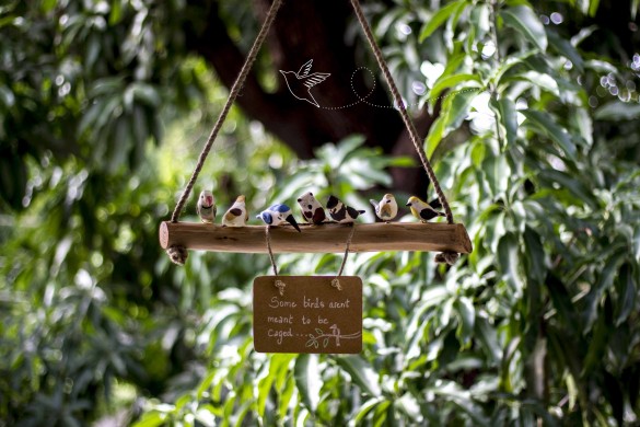 Bird hanging – small