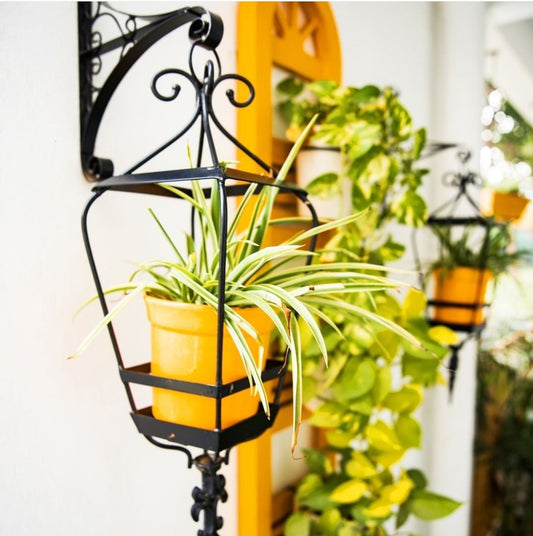Sicily Lantern Planter