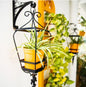 Sicily Lantern Planter