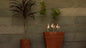 Plant Poker – Flamingo (Standing)
