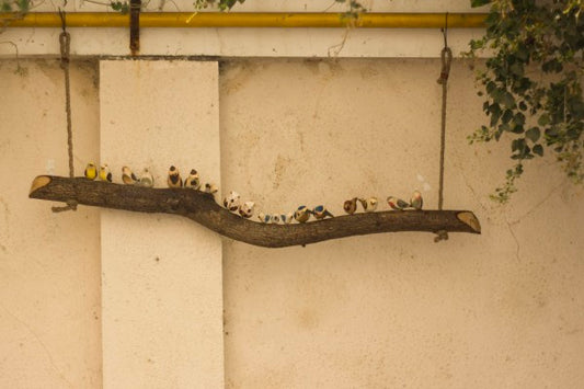 Bird hanging – Big