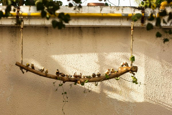 Bird hanging – Big